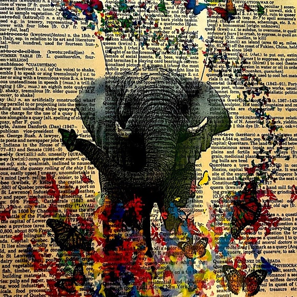 Meet your Posher, Jan - Picture 1 of 1